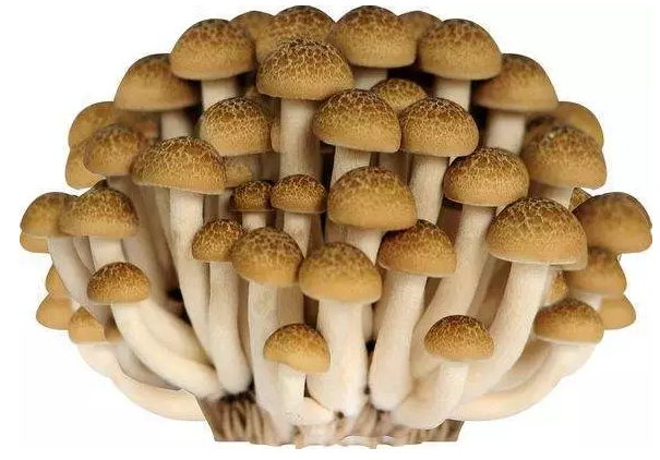 圖片關(guān)鍵詞 http://ordmm.cn/ewebeditor/uploadfile/20170914091421667001.png