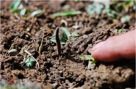 圖片關(guān)鍵詞 http://ordmm.cn/ewebeditor/uploadfile/20180921101313325001.png