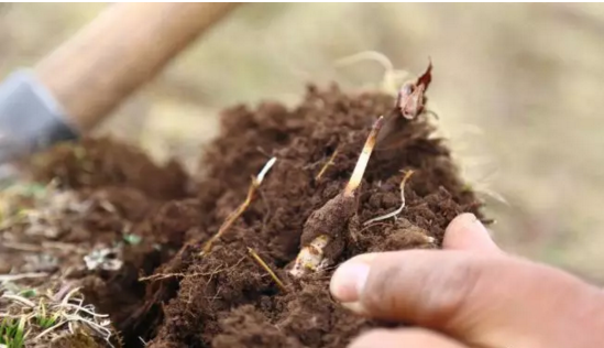 圖片關(guān)鍵詞 http://ordmm.cn/ewebeditor/uploadfile/20180921101228689001.png