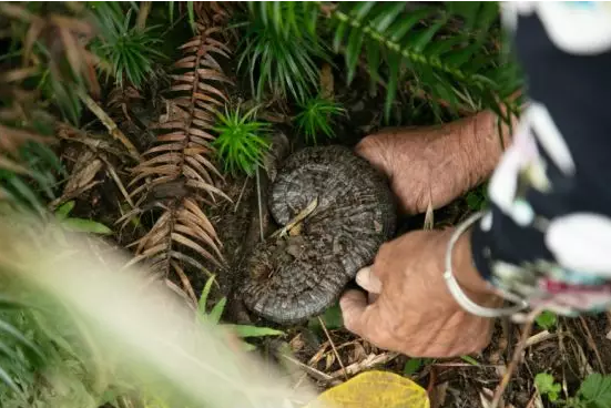圖片關(guān)鍵詞 圖片關(guān)鍵詞
