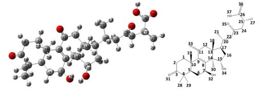 圖片關鍵詞 圖片關鍵詞