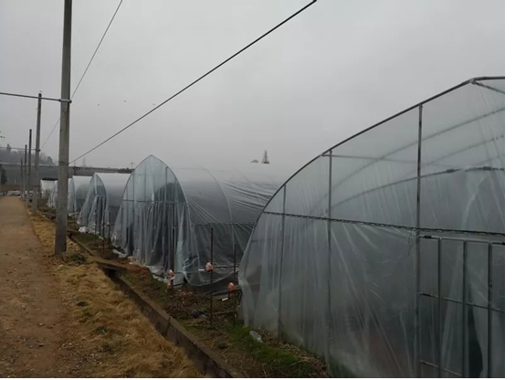 圖片關(guān)鍵詞 圖片關(guān)鍵詞