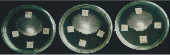 圖片關(guān)鍵詞 圖片關(guān)鍵詞