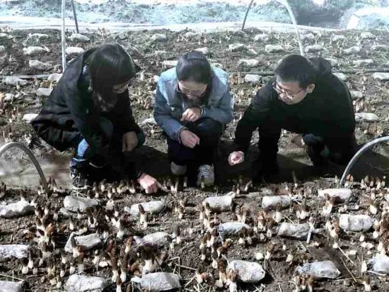 圖片關(guān)鍵詞 圖片關(guān)鍵詞