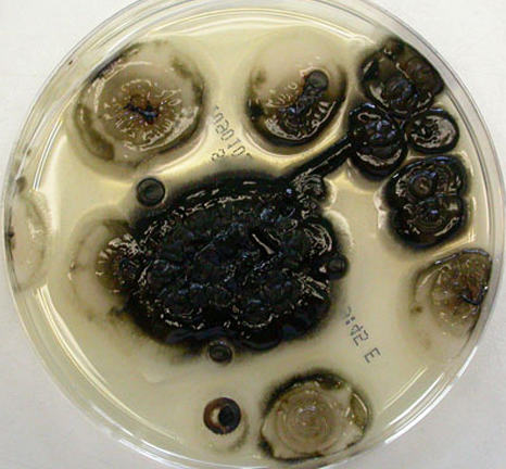 圖片關(guān)鍵詞 https://mmbiz.qpic.cn/mmbiz_png/EzTg6Bqtpm0WKZfQibicEjcQDNRWNq3jm7R1O13yKbpxibaicolLZIbOF5LU6gR9iazXNRiaLcwHXLXvzalbtAofl5YQ/640?wx_fmt=png