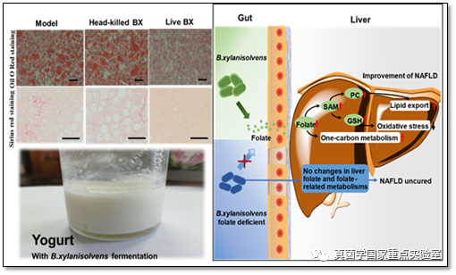 圖片關鍵詞 https://mmbiz.qpic.cn/mmbiz_png/LiclXRVIjmaFlErm0GMC5gqNvDcibq8J7ZvKLxCjvoEWkbabSxz5tltNu48hRoClBibUPQFkia2EElKOxWsvf1PL0g/640?wx_fmt=png&tp=webp&wxfrom=5&wx_lazy=1&wx_co=1