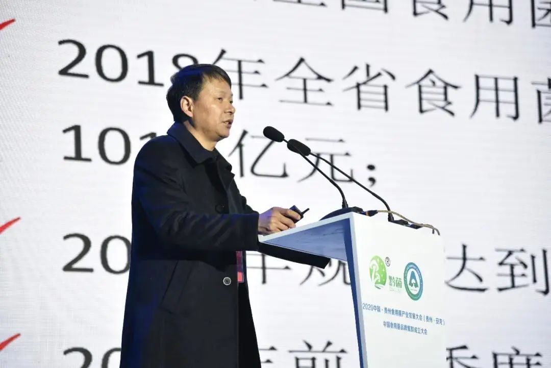 圖片關(guān)鍵詞 https://mmbiz.qpic.cn/mmbiz_jpg/tViaTicjwibVZmgEXXCALToc7mAB2rFo1LnIyiajaUj6yicXVjXw4mLWuXX7uOH1mWTA4A7jcb0PCXre6UsP6jNvtSQ/640?wx_fmt=jpeg