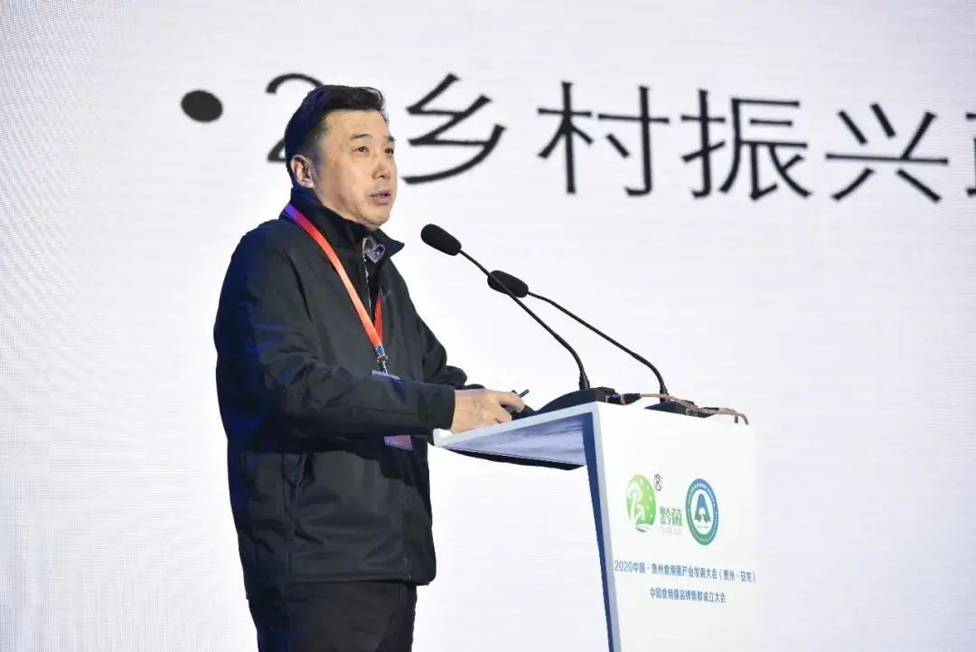 圖片關(guān)鍵詞 https://mmbiz.qpic.cn/mmbiz_jpg/tViaTicjwibVZmgEXXCALToc7mAB2rFo1LnLM7jiceZOoDWc6YibVqEhtsor0xyXH3NnWIXYfQ5belF7U0WYFthPhuQ/640?wx_fmt=jpeg