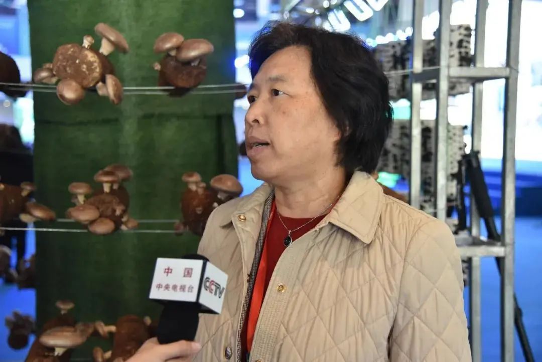 圖片關(guān)鍵詞 https://mmbiz.qpic.cn/mmbiz_jpg/tViaTicjwibVZmgEXXCALToc7mAB2rFo1LnET60QQahPyW0tj46wF2ZqHqncjDrWEBib03mNIyicVrUJW75puwgzoVg/640?wx_fmt=jpeg