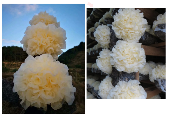 圖片關(guān)鍵詞 圖片關(guān)鍵詞