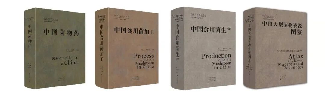 圖片關(guān)鍵詞 圖片