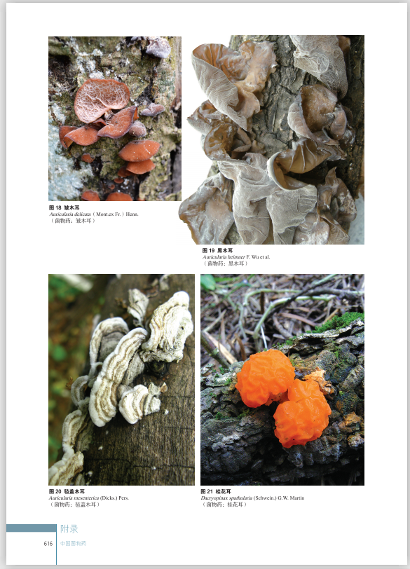 圖片關(guān)鍵詞 圖片