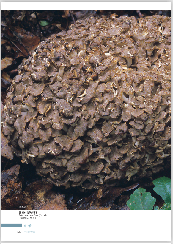 圖片關(guān)鍵詞 圖片