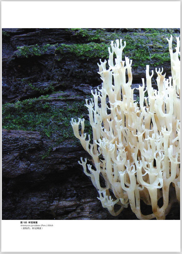 圖片關(guān)鍵詞 圖片