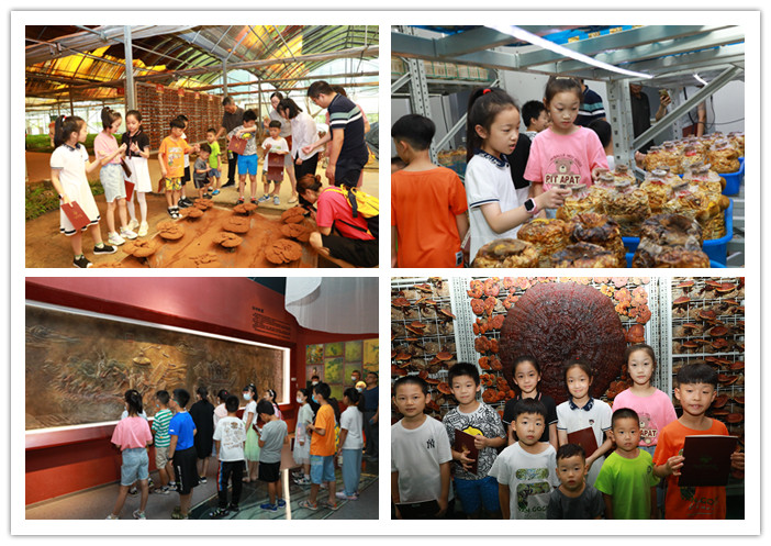 圖片關(guān)鍵詞 圖片關(guān)鍵詞